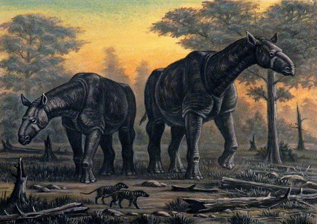 ilustrasi paraceratherium