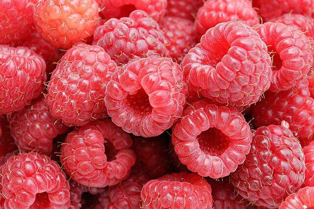 ilustrasi raspberry