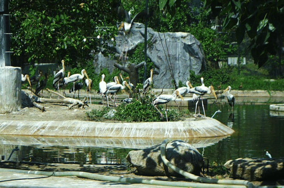 potret Dusit Zoo, Thailand