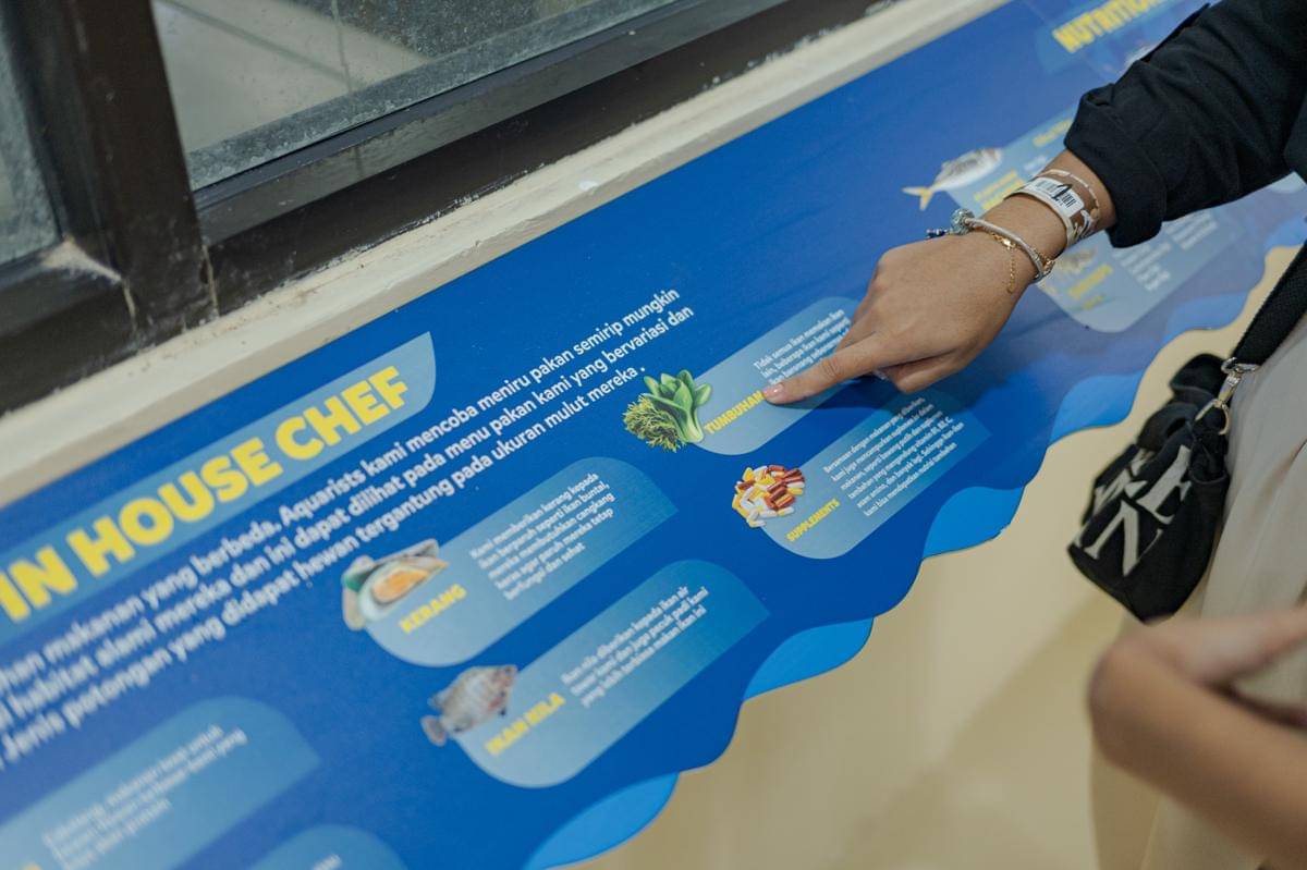 20241227 marine safari bali - soft launching - edited - 197.jpg