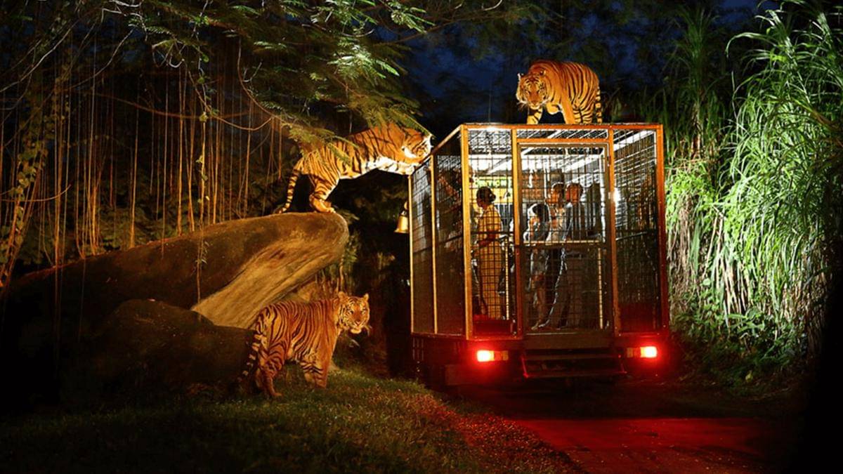 night safari di Taman Safari Bali 