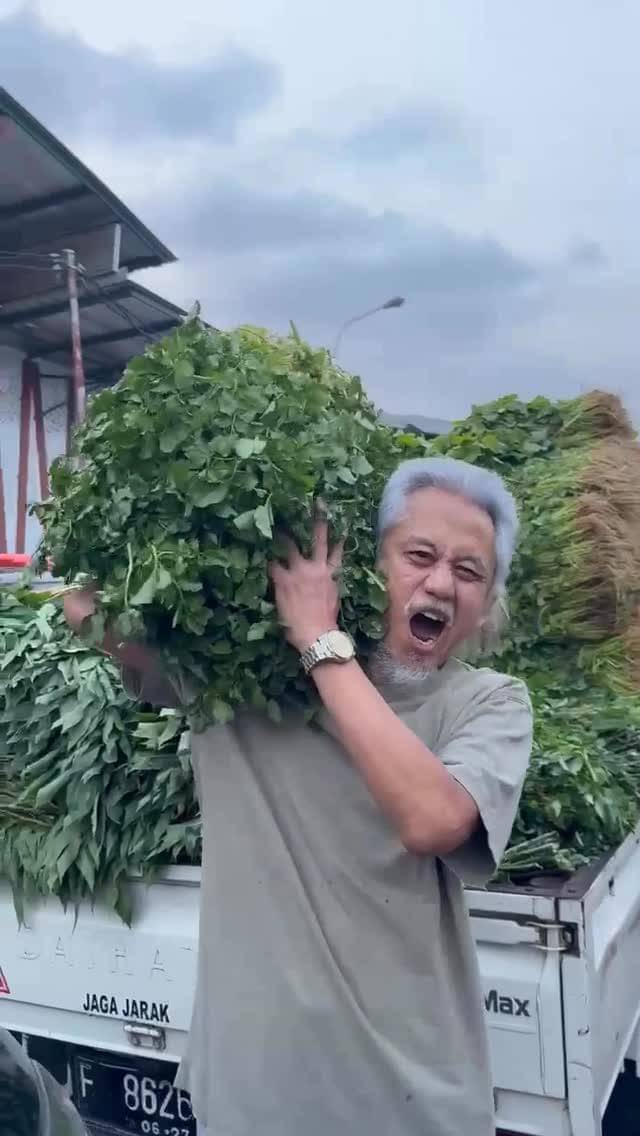 Epy Kusnandar borong selada airuntuk usaha jukut goreng