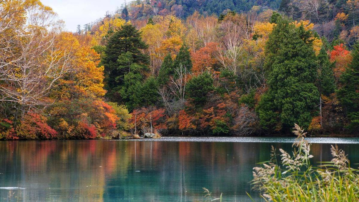 Nikko