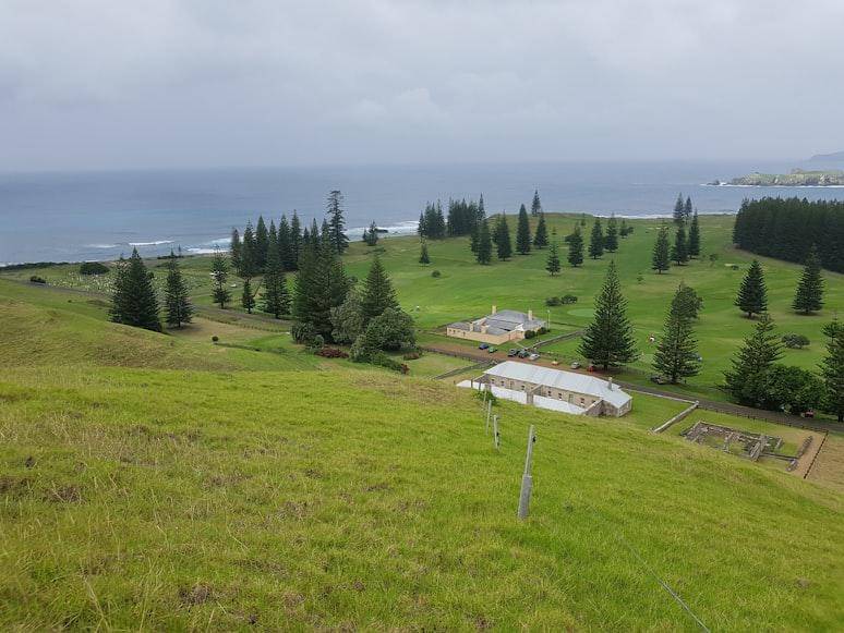 Potret Norfolk Island
