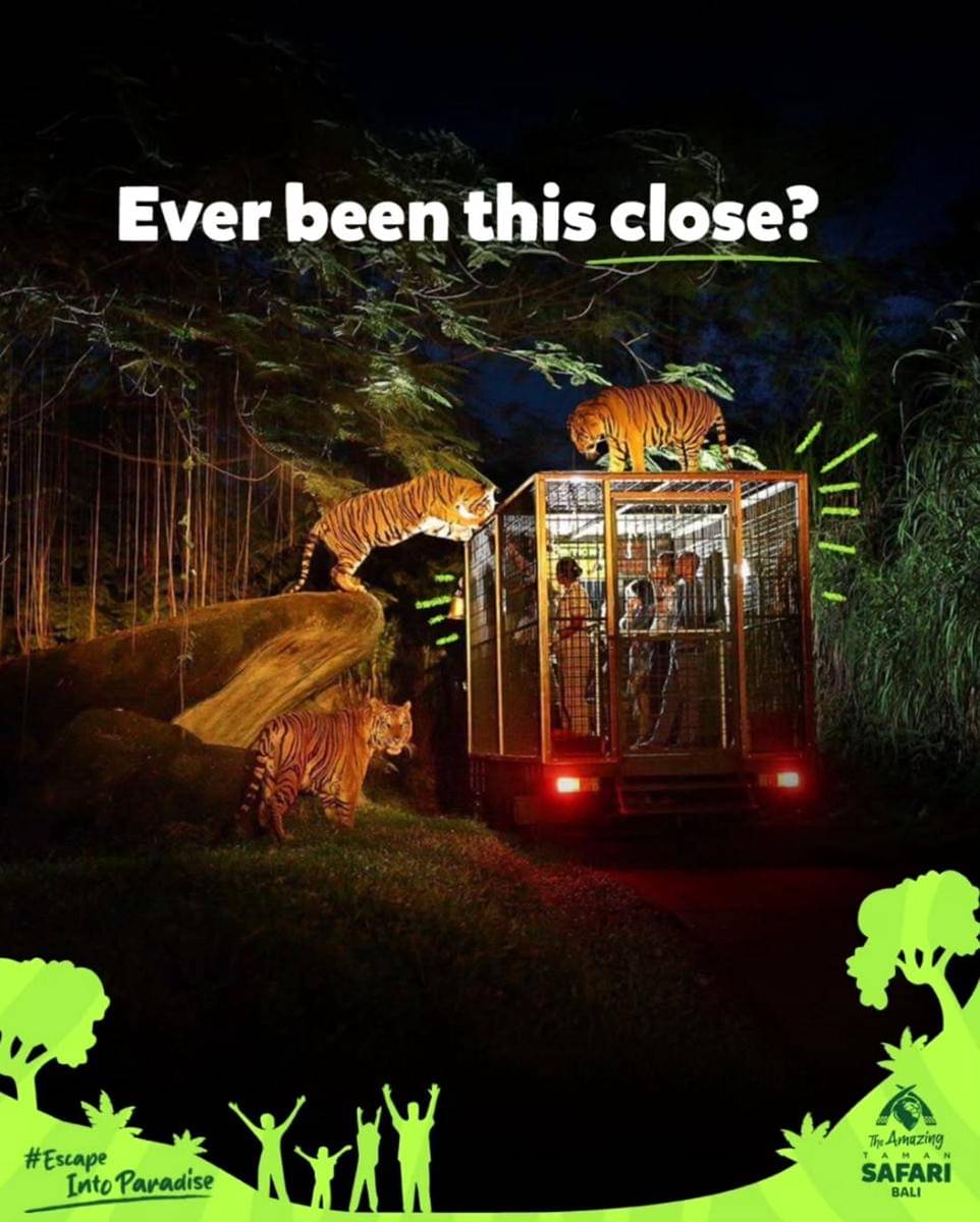 serunya night safari di Taman Safari Bali 