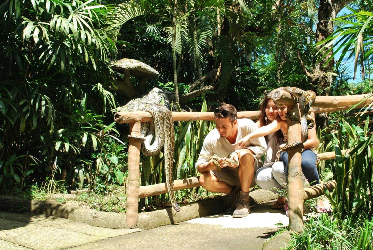 potret Taman Safari Prigen, Indonesia