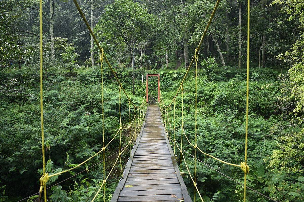 Taman Hutan Raya Ir. H. Djuanda