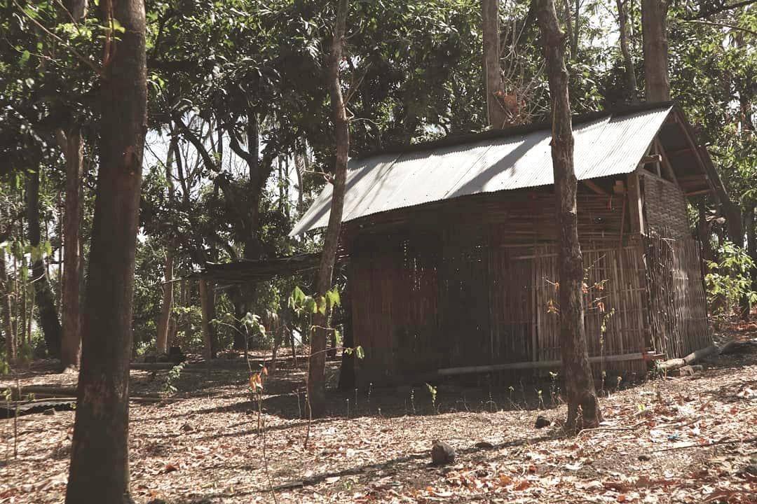 Sebuah rumah di Desa Ban yang dikelilingi banyak daun kering.