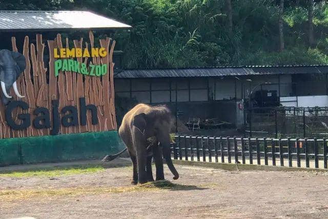 Lembang Park and Zoo (Pinterest.com)