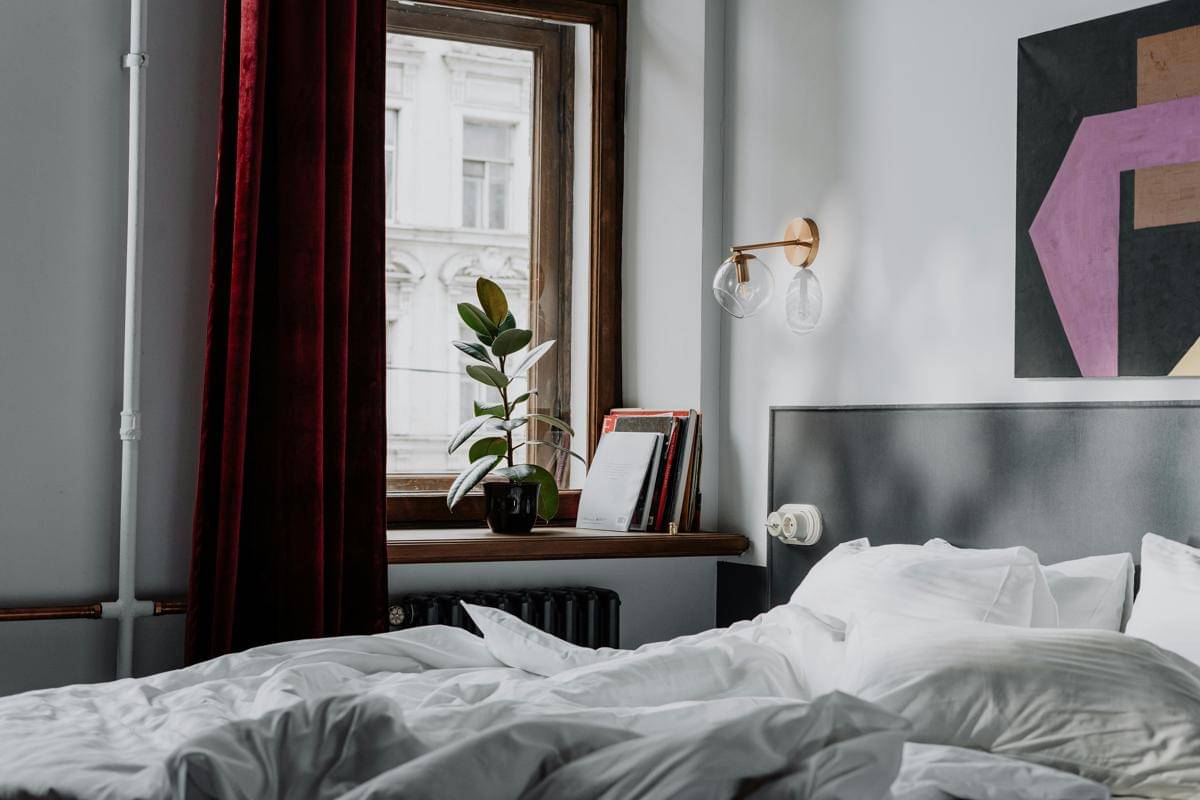 ilustrasi tanaman hias di jendela kamar