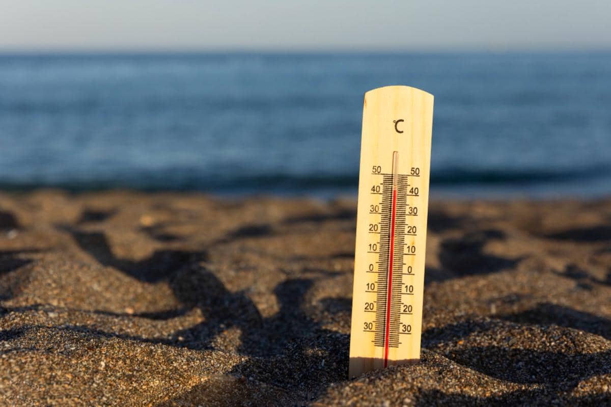Tak Semua El Nino Sama, Ini Perbedaan dan Dampaknya ke Indonesia