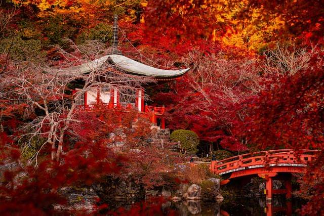 ilustrasi kuil di Kyoto saat musim gugur
