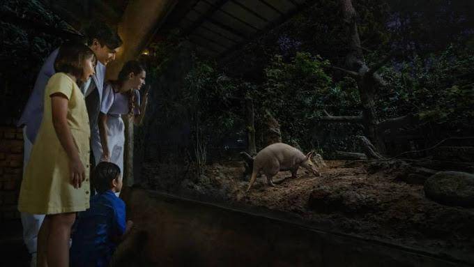 keseruan Night Safari di Singapura