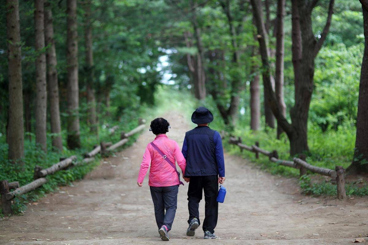 Potret sepasang orangtua berjalan kaki di Nami Island