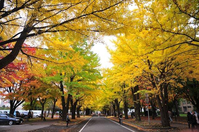 Sapporo saat musim gugur