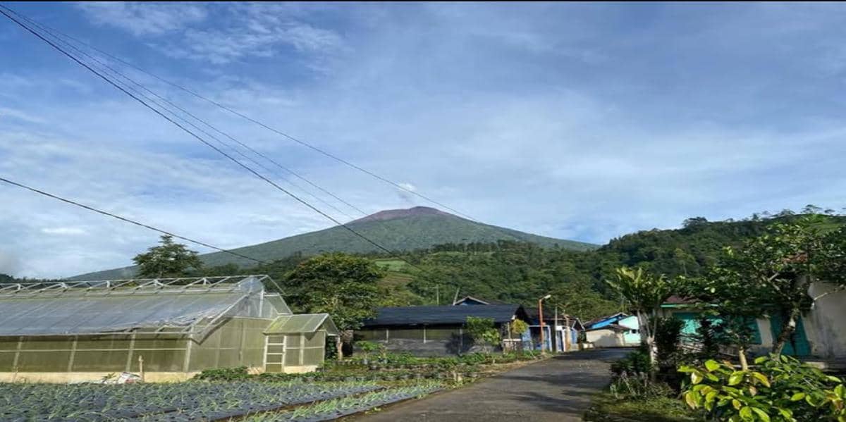 lahan pertanian desa wisata serang purbalingga