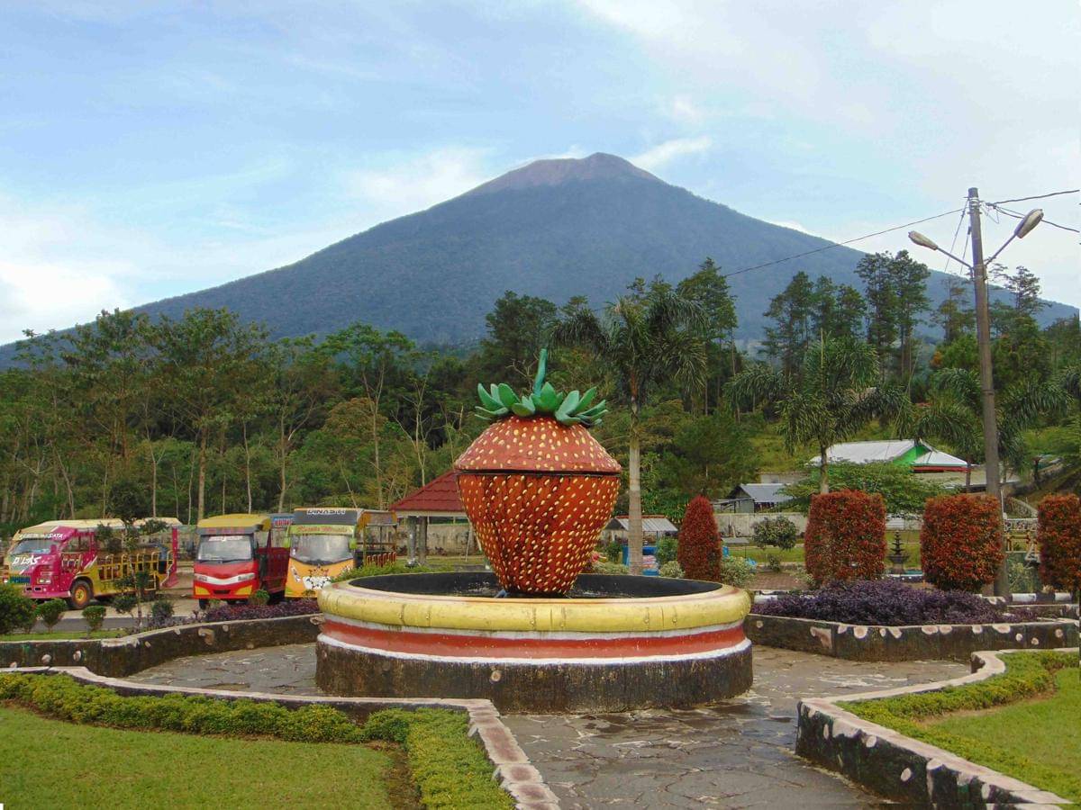 pesona alam agrowisata Desa Serang Purbalingga