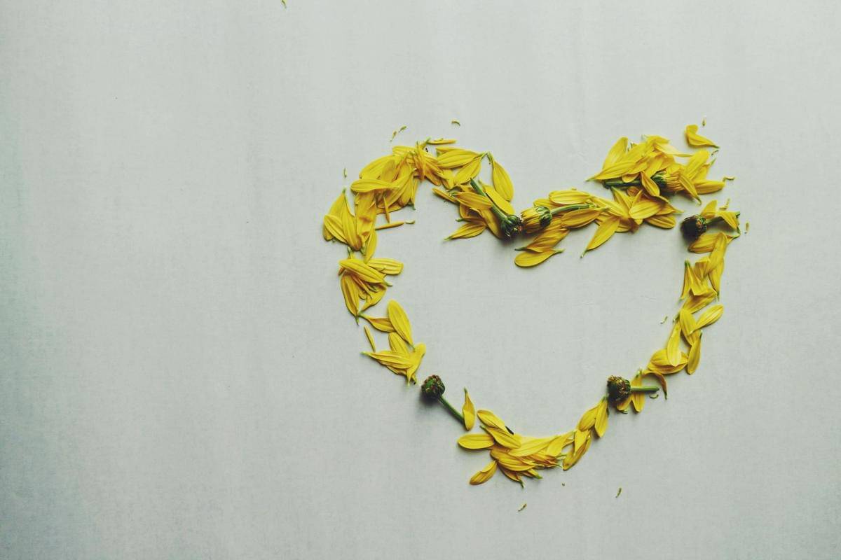 love kuning artinya
