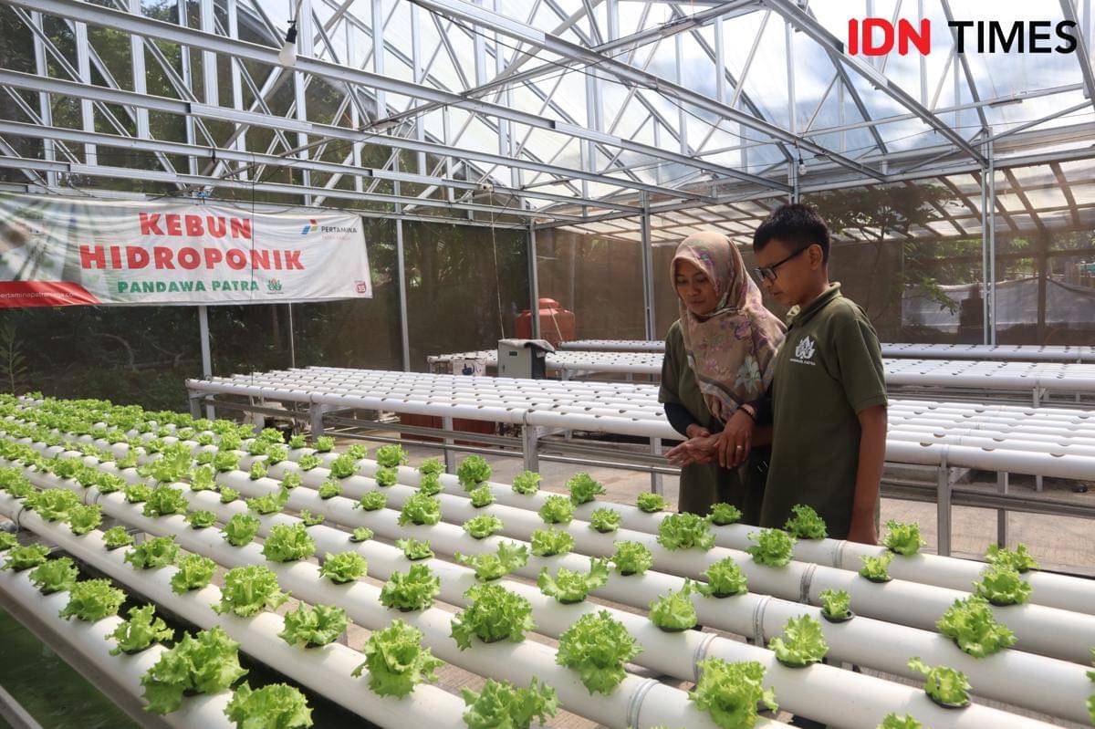 Martuti menuntun anaknya yang tuna netra Bagas Supriyanto ke kebun hidropik selasa air di Green House Pandawa Patra, Boyolali. (IDN Times/Larasati Rey)
