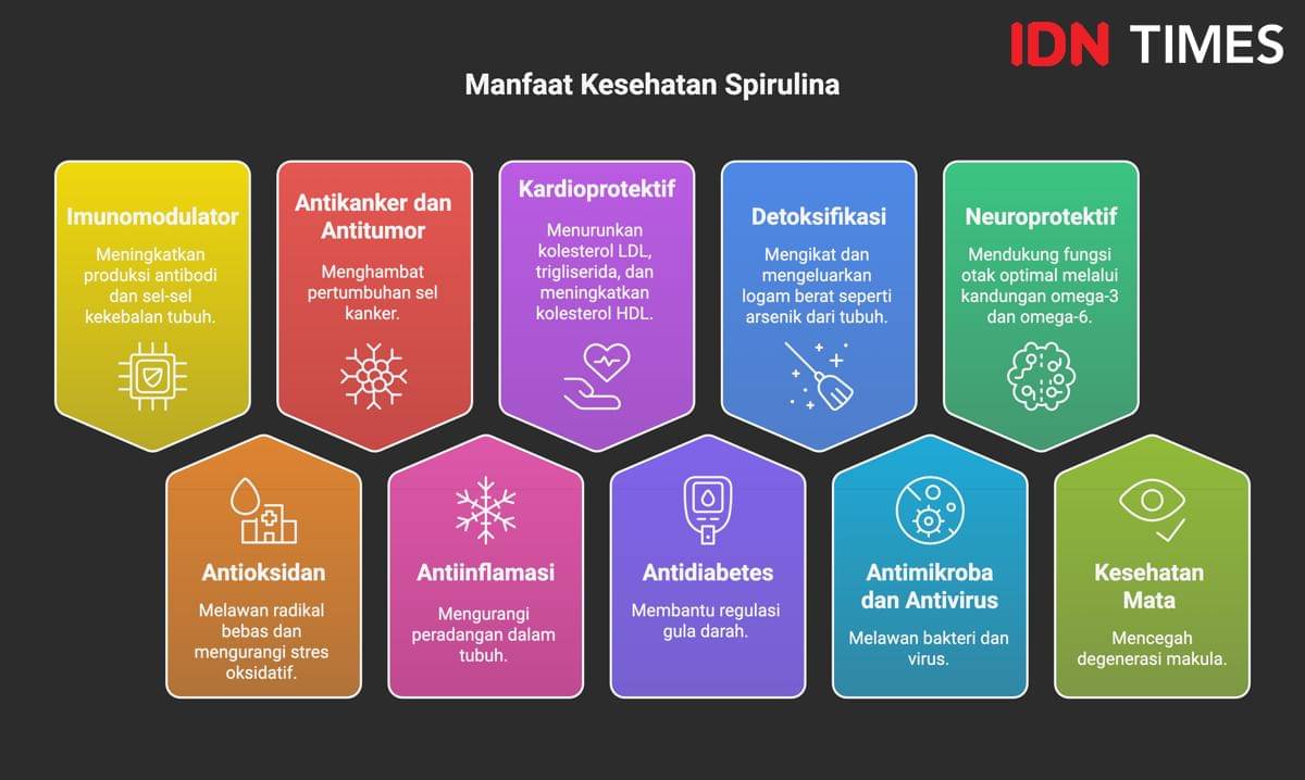 Infografik manfaat kesehatan dari produk spirulina. (IDN Times/Dhana Kencana)