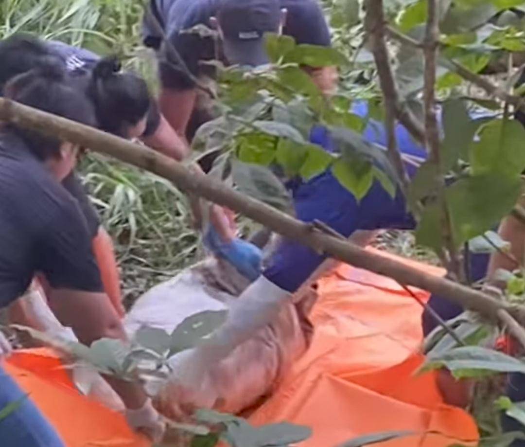 Polisi mengevakuasi jasad dalam karung yang ditemukan di Desa Ngulak 3 Kecamatan Sanga Desa Kabupaten Muba. (Dok. Istimewa)