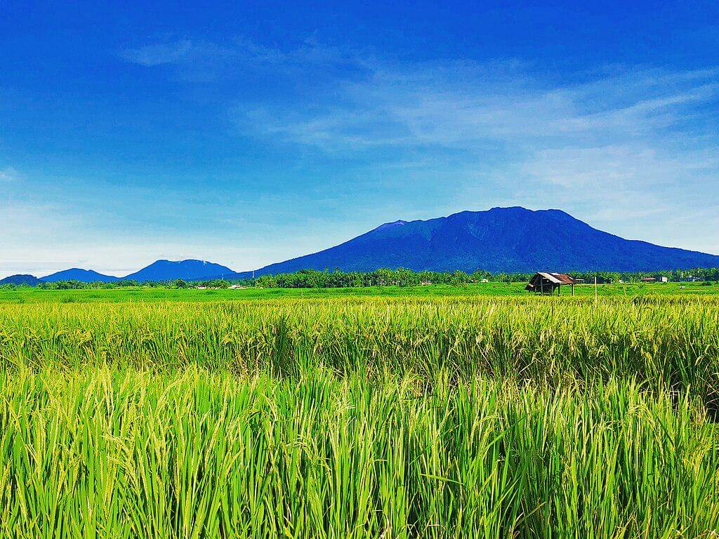 Potret gunung Marapi dari jauh