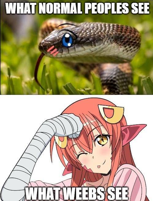 meme anime tentang ular
