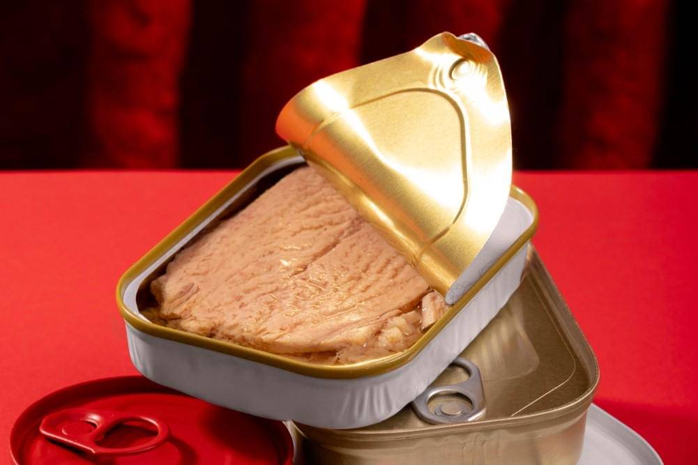 ilustrasi tuna kaleng