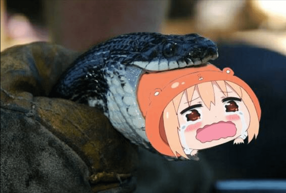 meme anime tentang ular