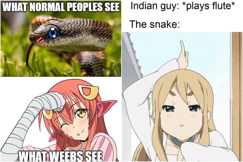 kolase meme anime tentang ular