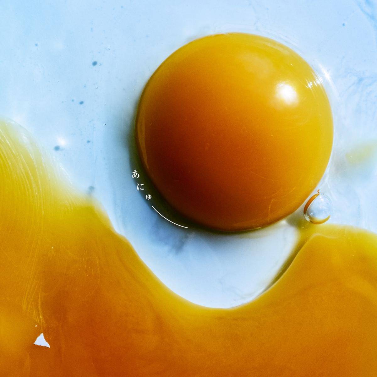 RADWIMPS - Anew_Cover Art.jpg