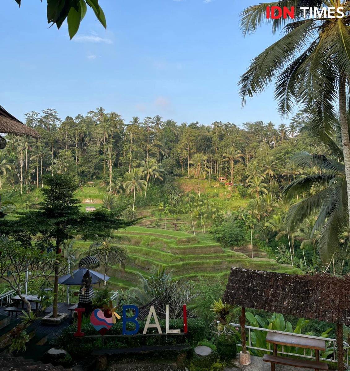 Potret suasana sawah dan terasiring di Tegalalang, Ubud, Bali