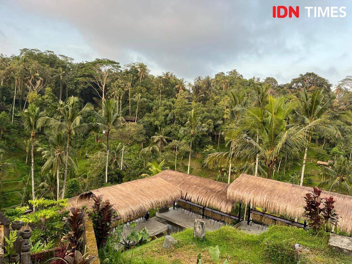 Potret suasana sawah dan terasiring di Tegalalang, Ubud, Bali  