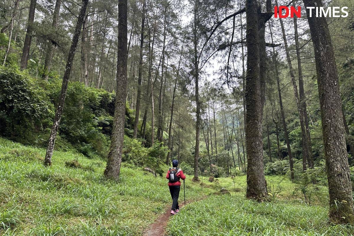 Potret Wisata Deles Indah