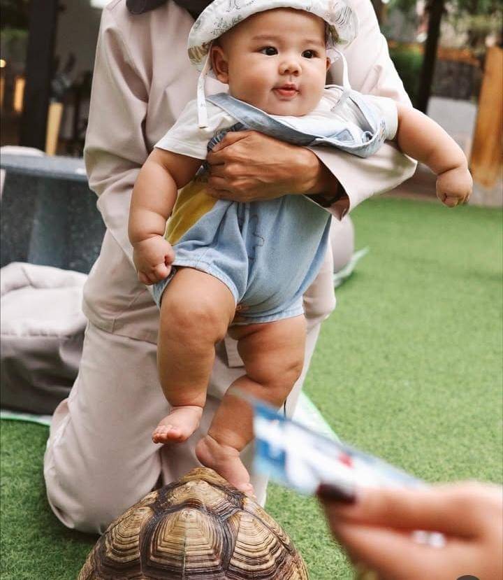 Baby Arash main dengan berbagai hewan