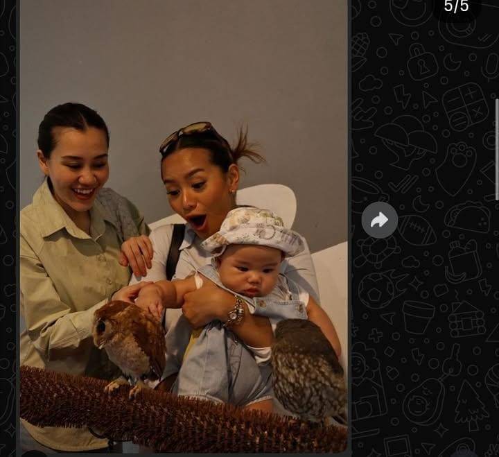 Baby Arash main dengan berbagai hewan