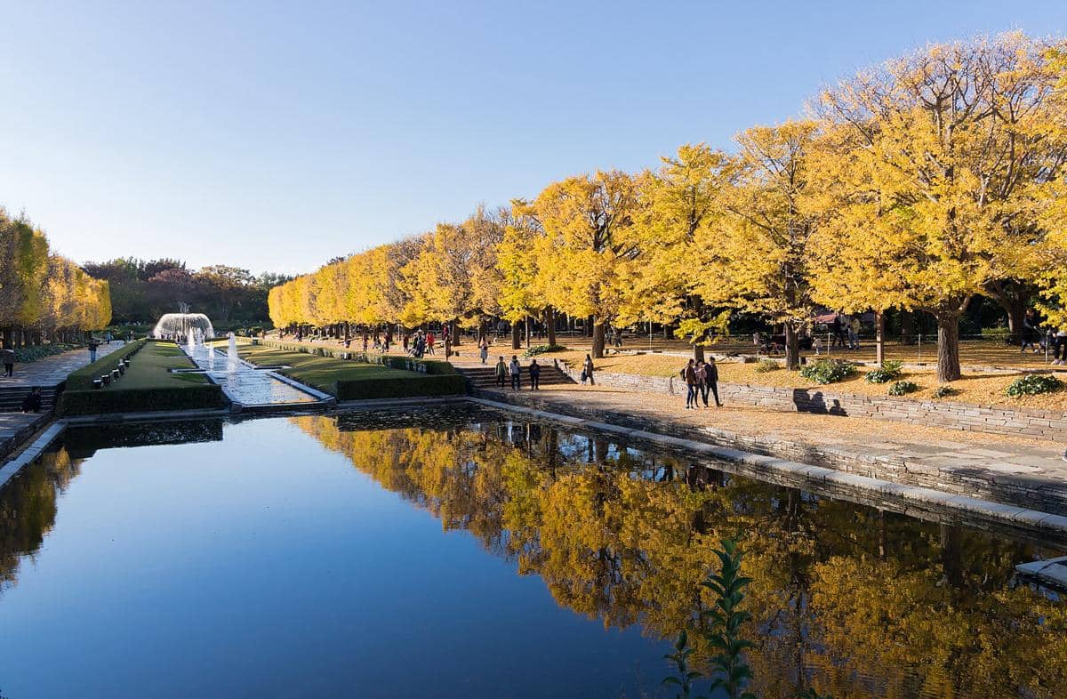 Showa Kinen Park, Jepang