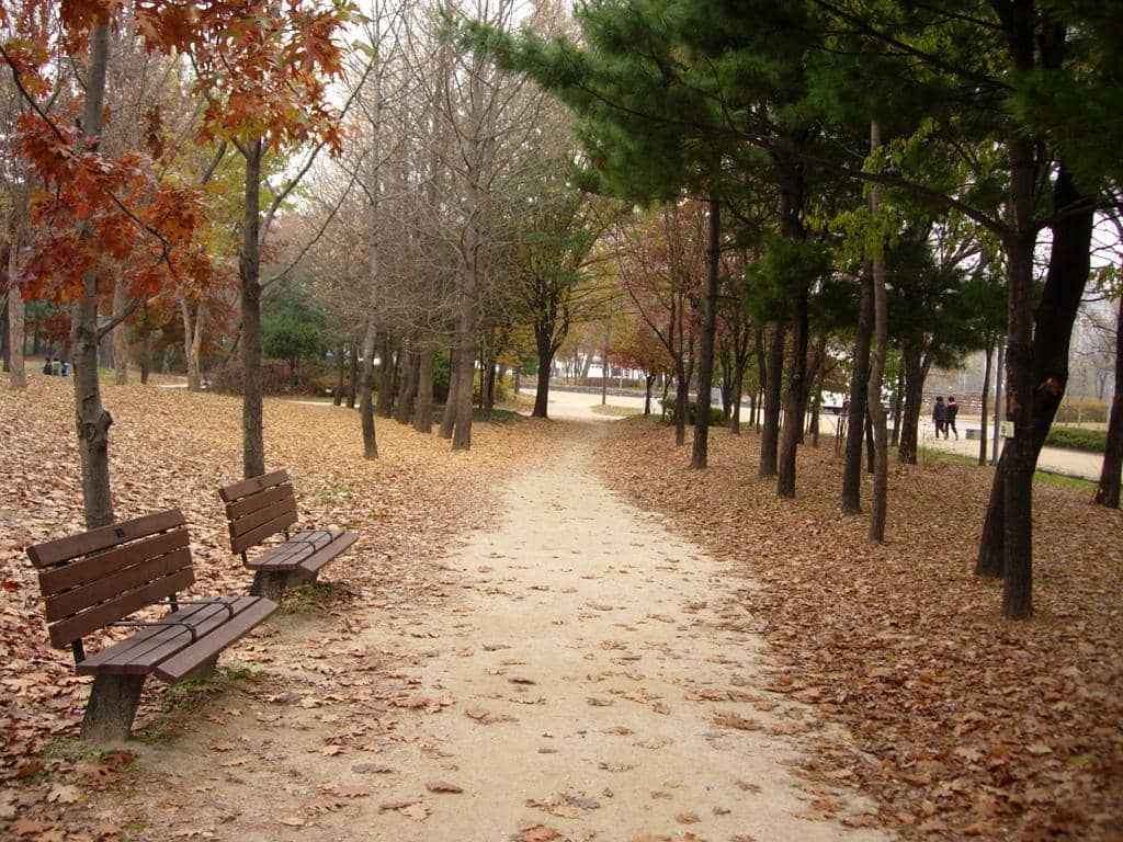Seoul Forest, Korea Selatan