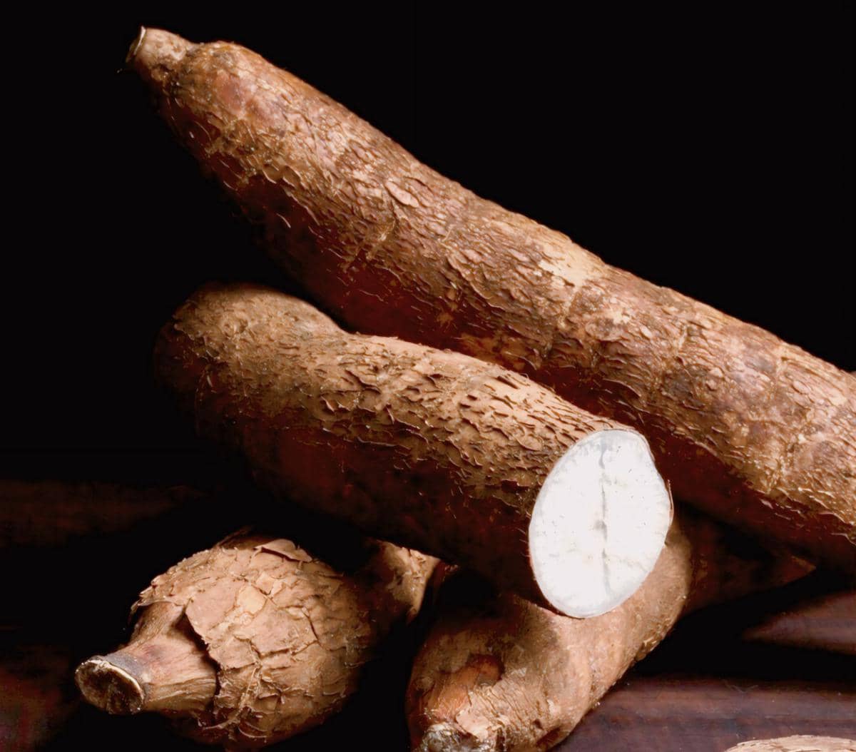 5 Camilan Singkong Lezat yang Wajib Dicoba, Auto Gluten Free! 