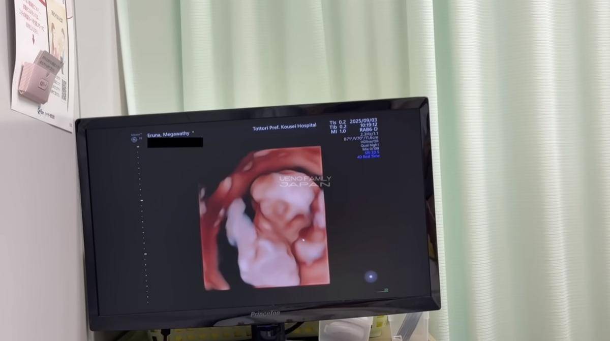 Gender Reveal Kehamilan Uma Mega Ueno Family