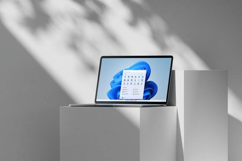 Windows 11