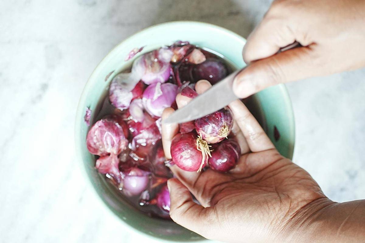ilustrasi memotong bawang