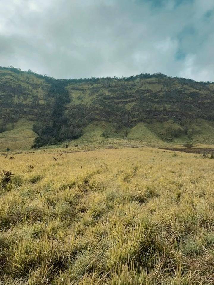 Dara Arafah santai di padang savana Gunung Bromo