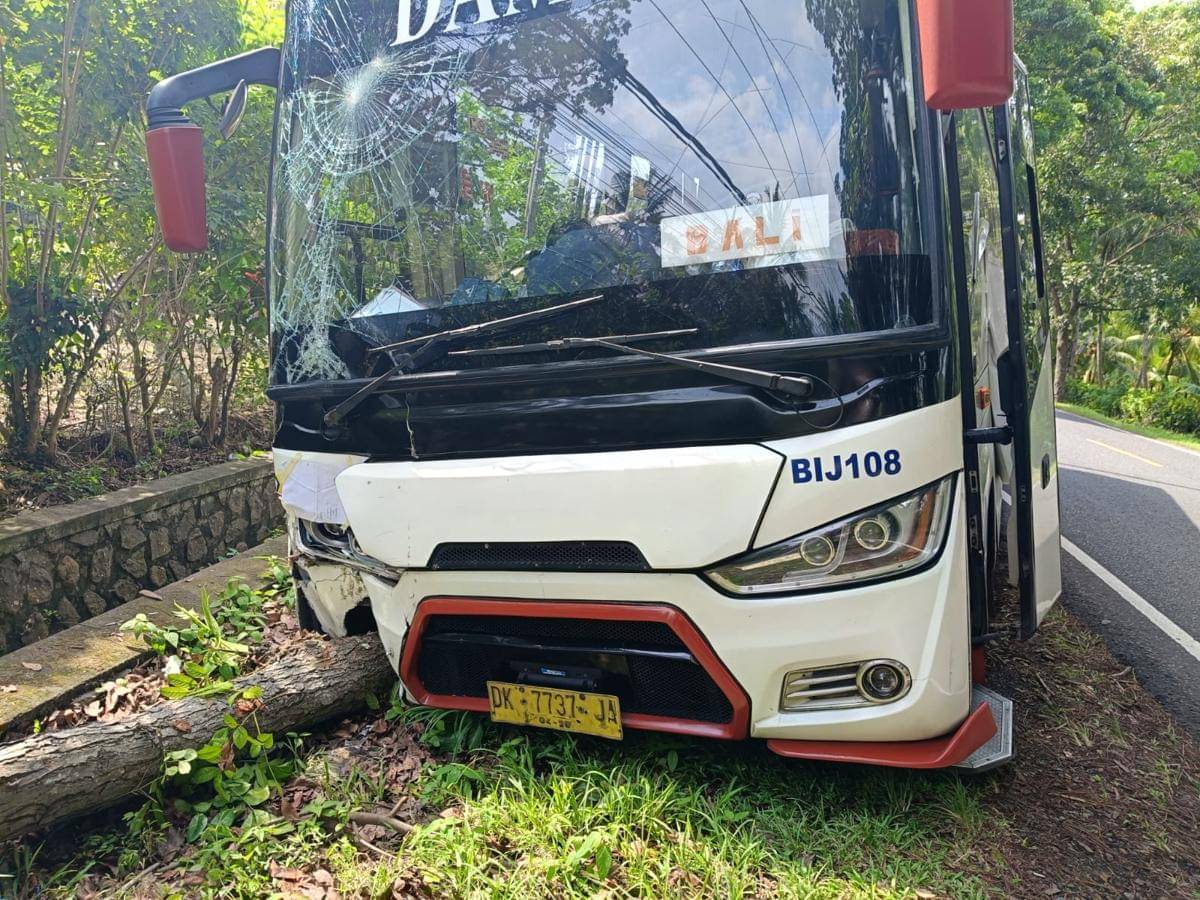 Tie Rod Rusak, Bus Damri Oleng hingga Keluar Jalur di Jembrana