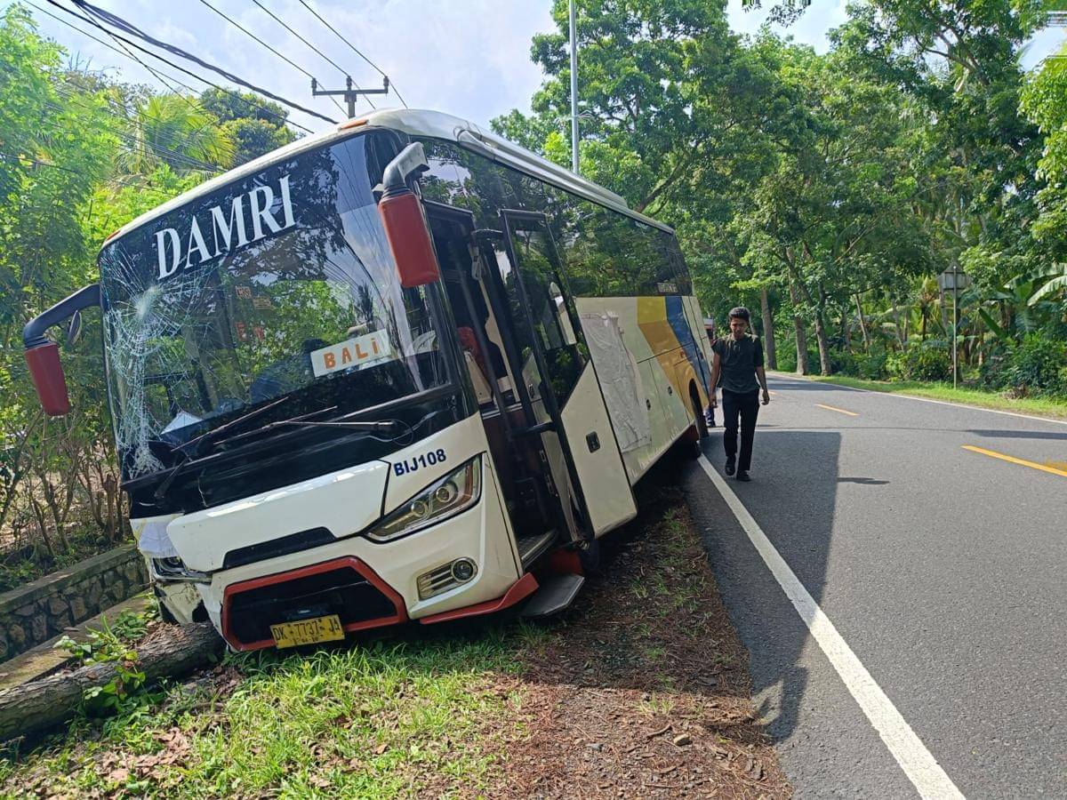 Tie Rod Rusak, Bus Damri Oleng hingga Keluar Jalur di Jembrana