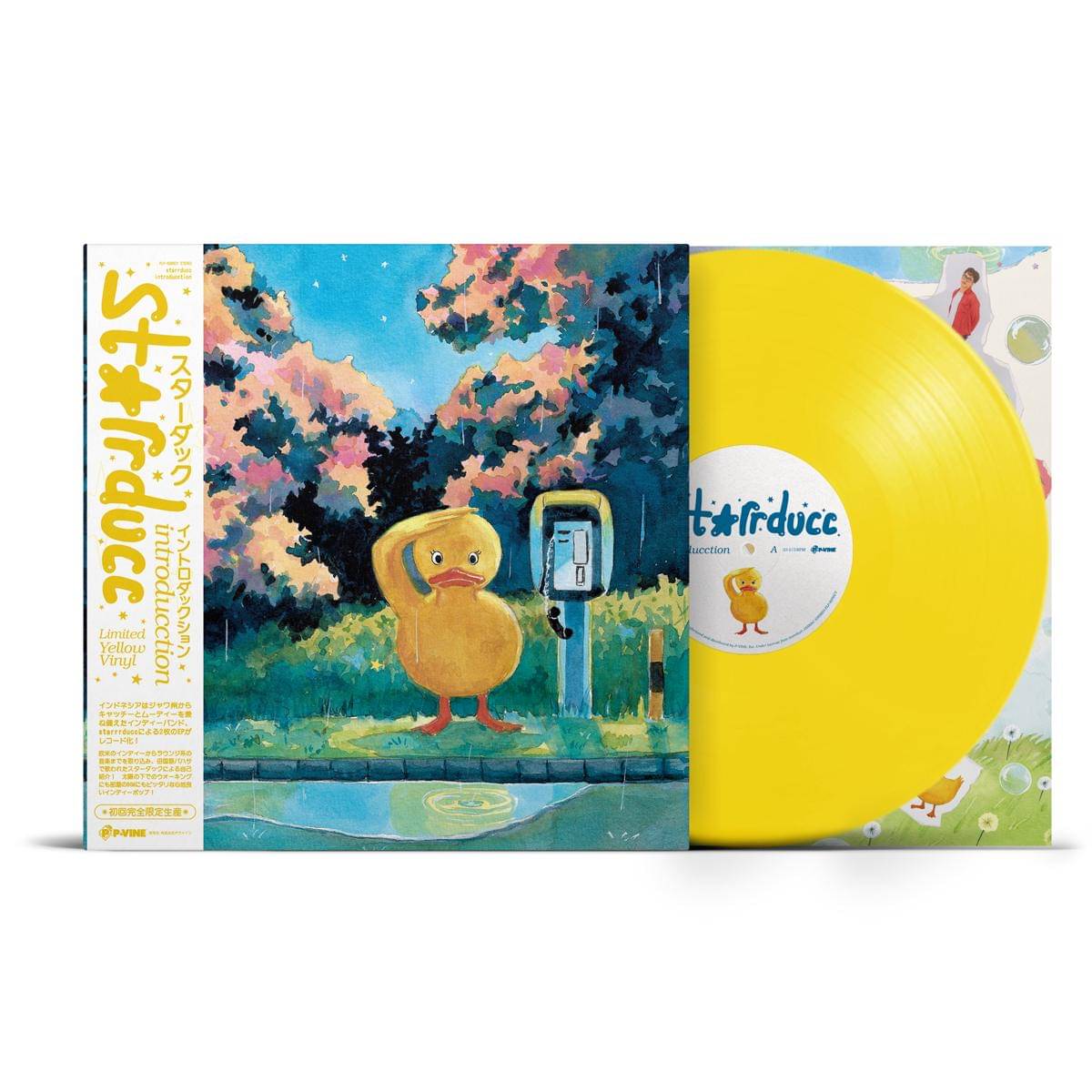Vinyl introducction.jpg