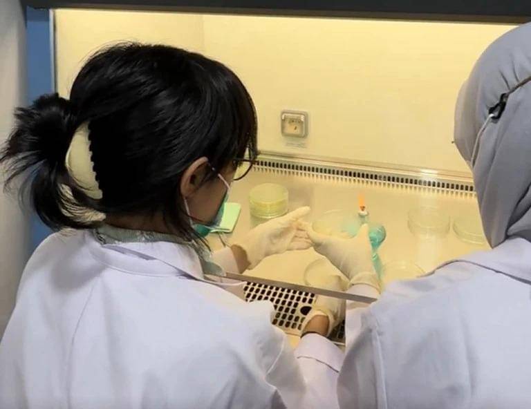 Mahasiswa UGM Kembangkan Scaffold Hidrogel untuk Atasi Diabetes Melitus.