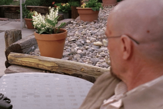 Walt berencana meracuni Brock