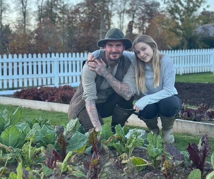 potret David Bechkam berkebun