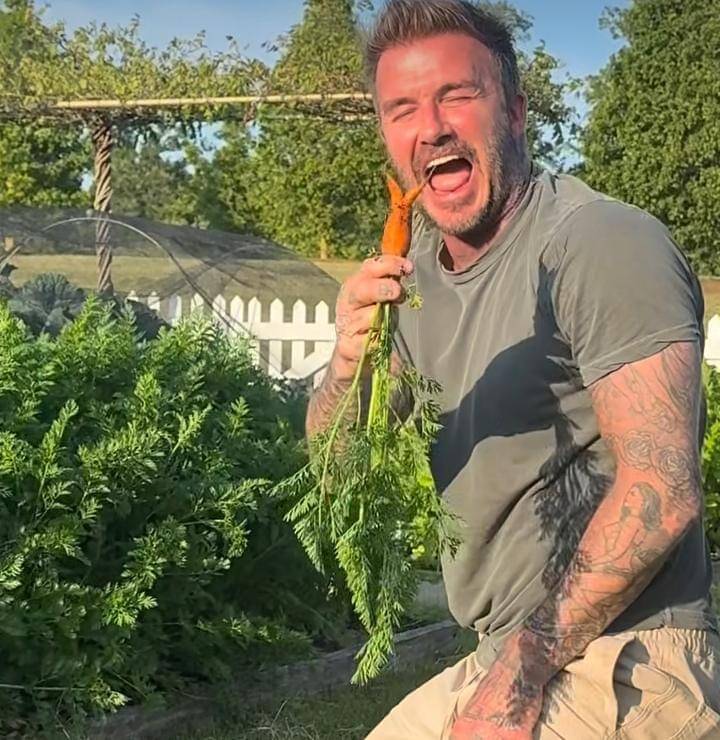 potret David Bechkam berkebun